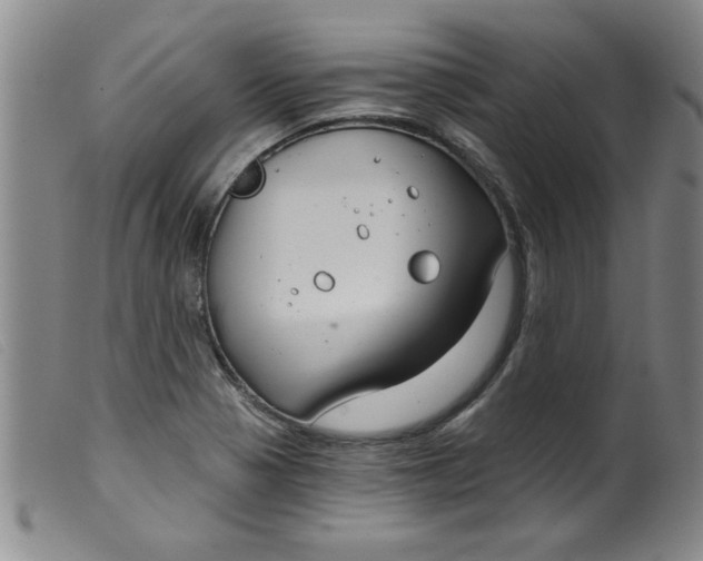 X0000099321321200805161351