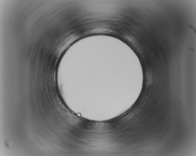 X0000099321322200805161351