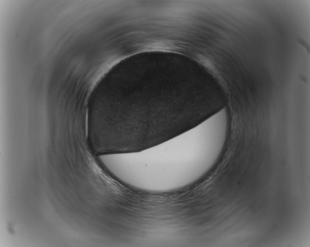 X0000099321323200805161351