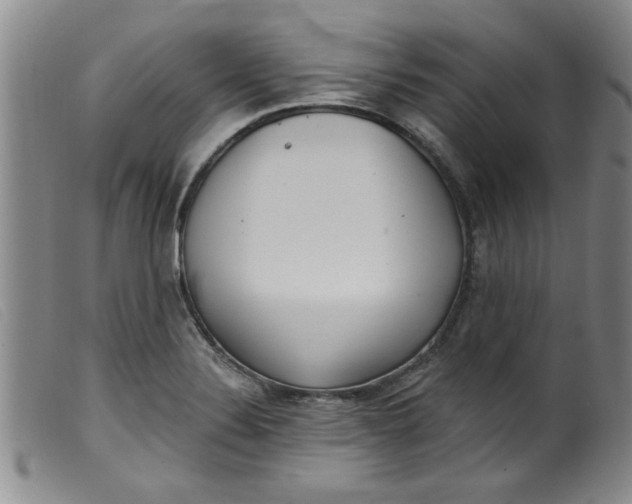 X0000099321324200805161351