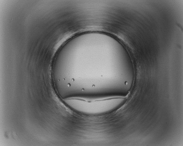 X0000099321325200805161351