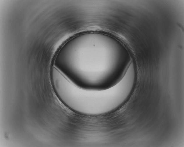 X0000099321326200805161351