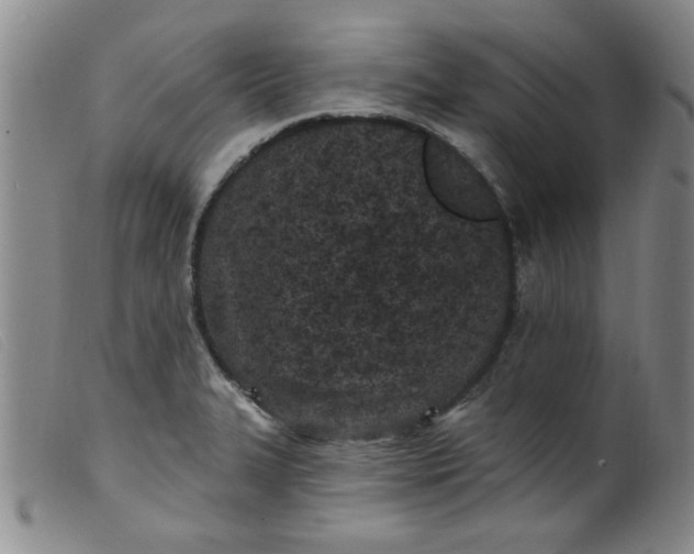 X0000099321327200805161351