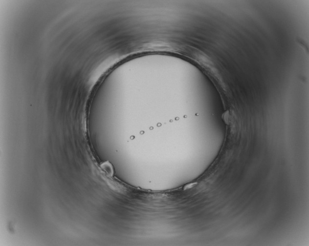 X0000099321328200805161351