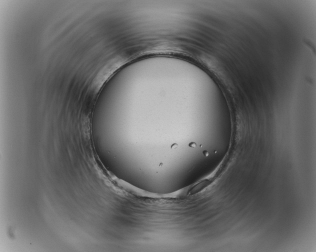 X0000099321329200805161351