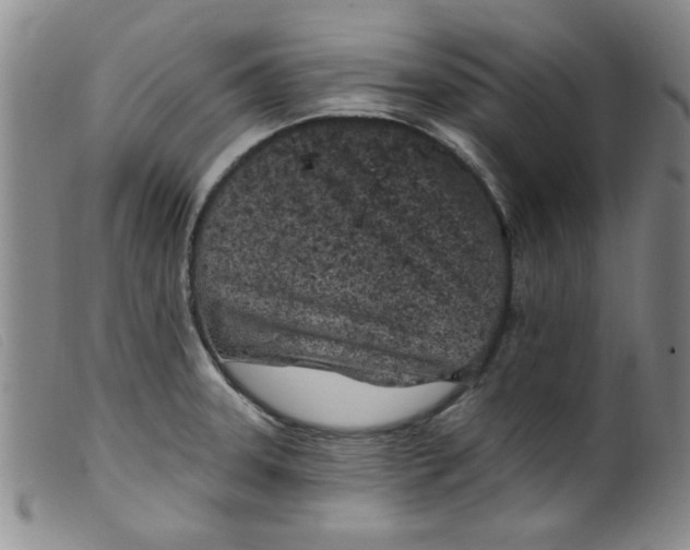 X0000099321331200805161351