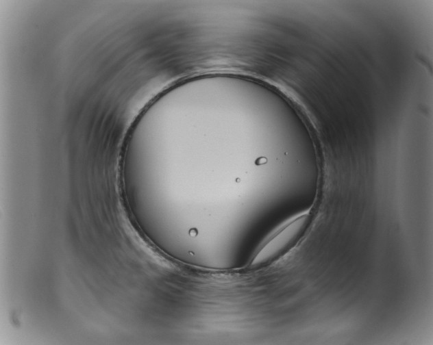 X0000099321333200805161351