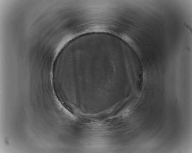 X0000099321334200805161351