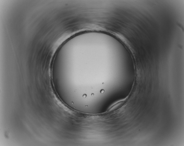 X0000099321335200805161351