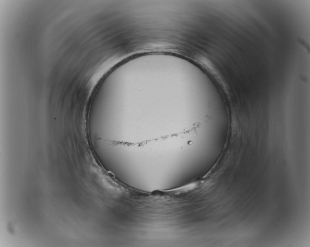 X0000099321336200805161351