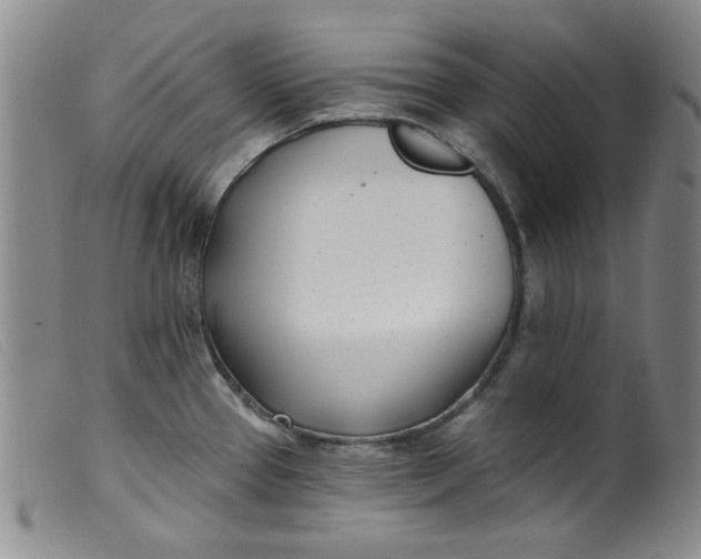 X0000099321337200805161351