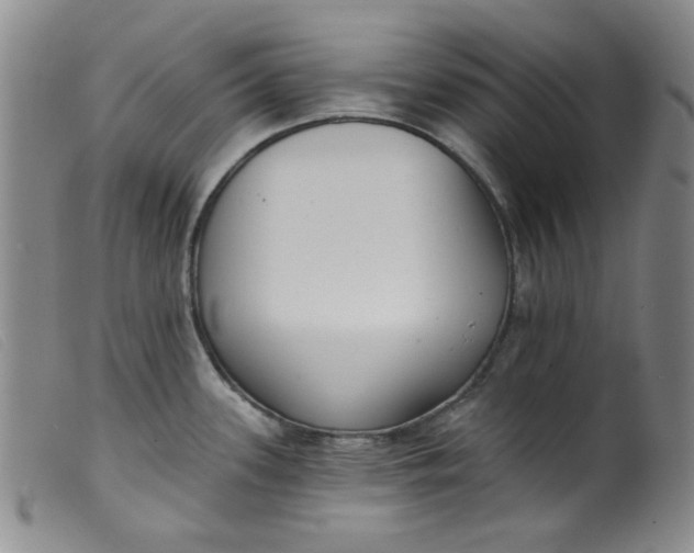 X0000099321339200805161351