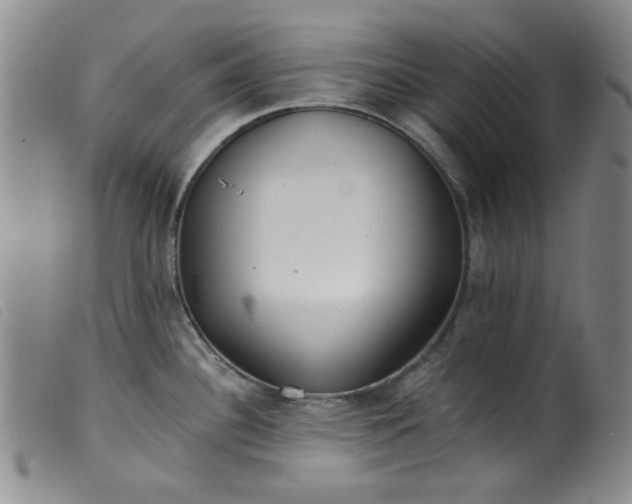 X0000099321340200805161351