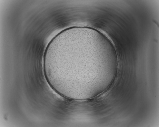 X0000099321343200805161352