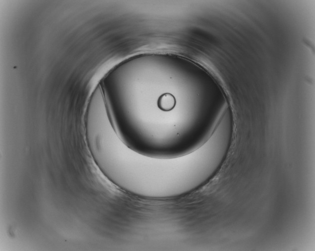 X0000099321344200805161352