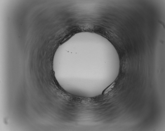 X0000099321345200805161351