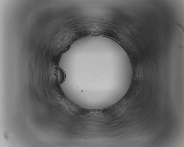 X0000099321346200805161351