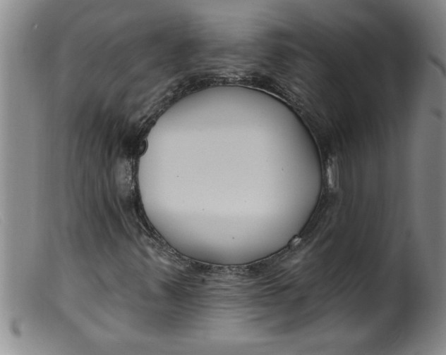 X0000099321347200805161351