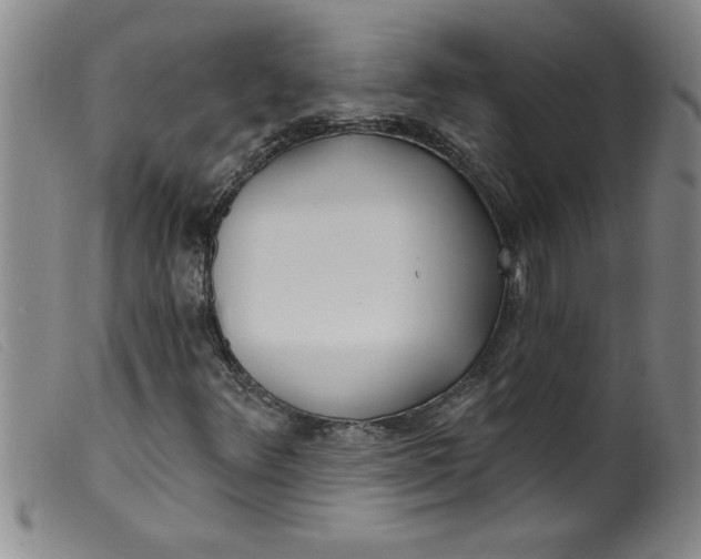 X0000099321348200805161351