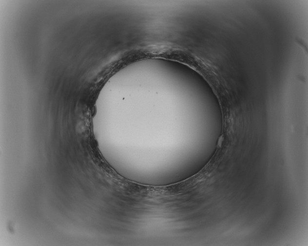 X0000099321349200805161351