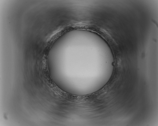 X0000099321350200805161351