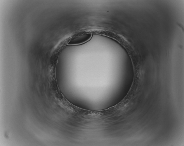 X0000099321351200805161351