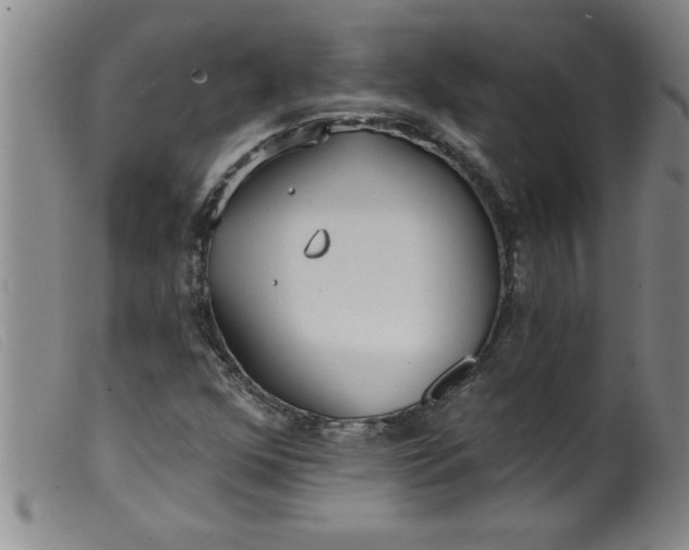 X0000099321352200805161351