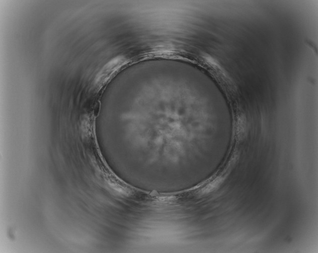 X0000099321353200805161351