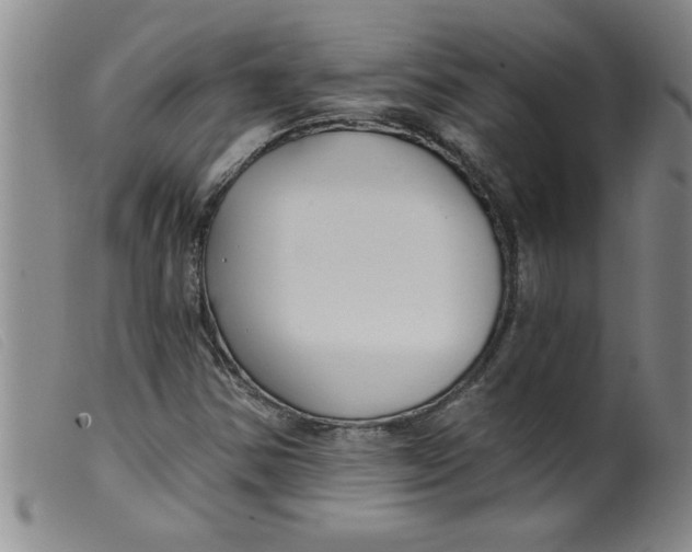 X0000099321354200805161351