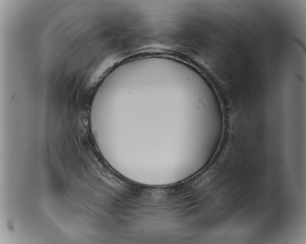 X0000099321355200805161351