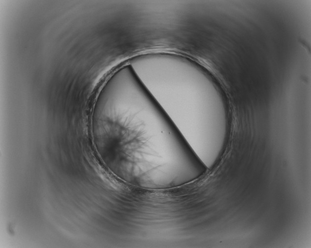 X0000099321356200805161351