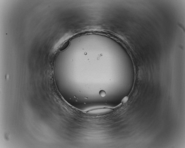 X0000099321359200805161351