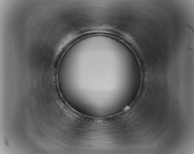 X0000099321360200805161351