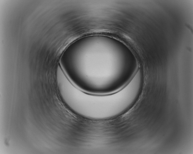 X0000099321361200805161351