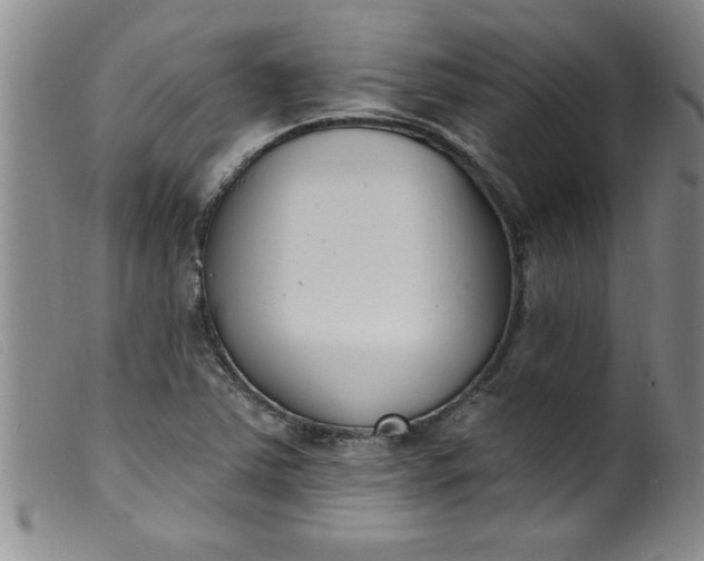 X0000099321363200805161351