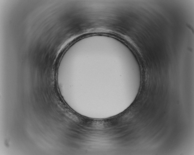 X0000099321364200805161351