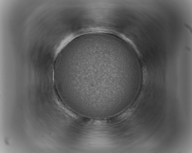 X0000099321365200805161351