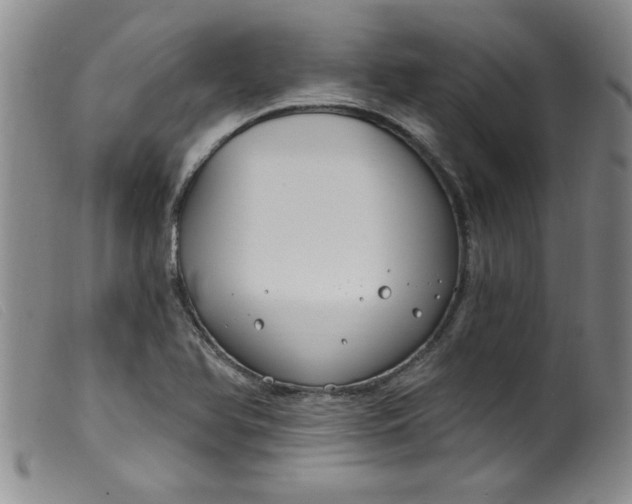 X0000099321366200805161351