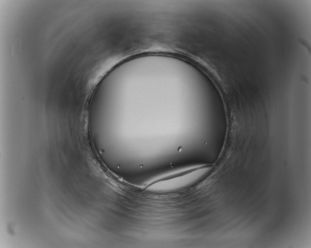 X0000099321367200805161351