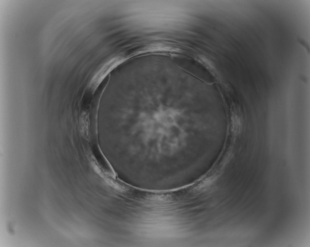 X0000099321369200805161350