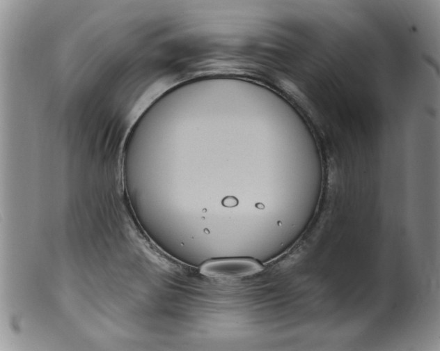 X0000099321370200805161350