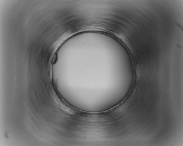 X0000099321371200805161350