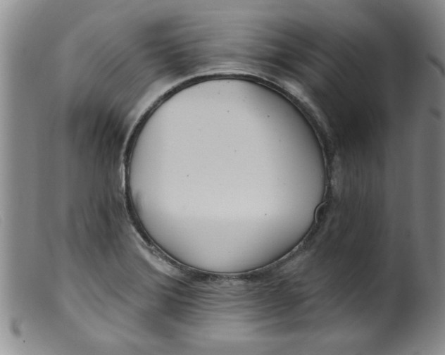 X0000099321372200805161350