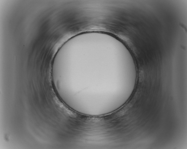 X0000099321374200805161350