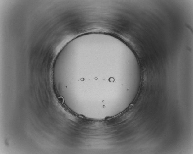 X0000099321375200805161350