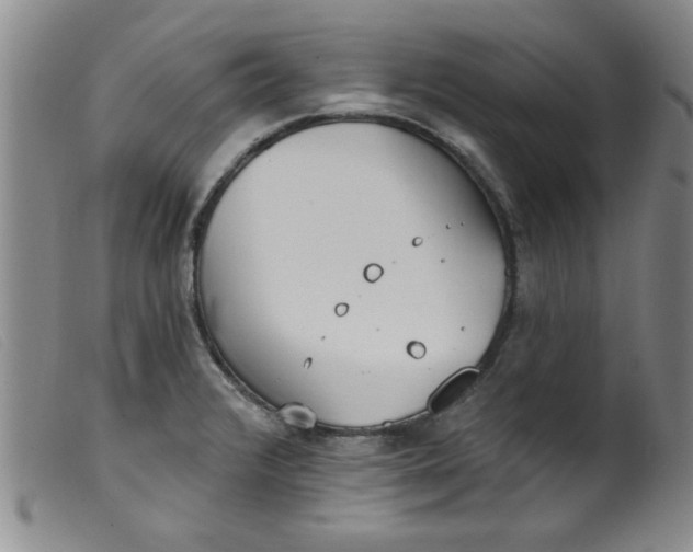 X0000099321376200805161350