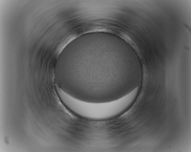 X0000099321377200805161350