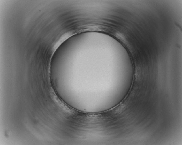 X0000099321378200805161350