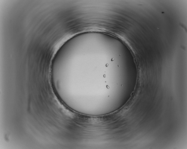 X0000099321379200805161350