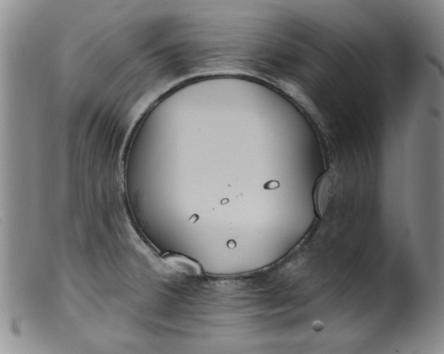 X0000099321380200805161350